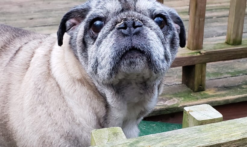 Roscoe