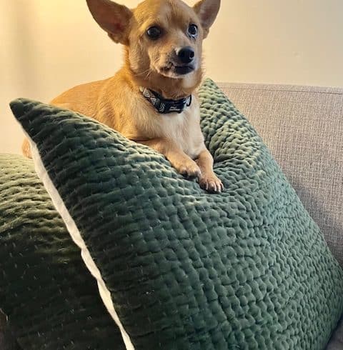 Taki